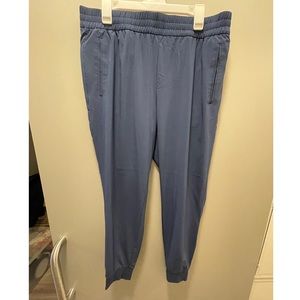 Banana Republic AirStretch Jogger- Lg